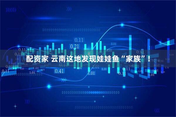 配资家 云南这地发现娃娃鱼“家族”！