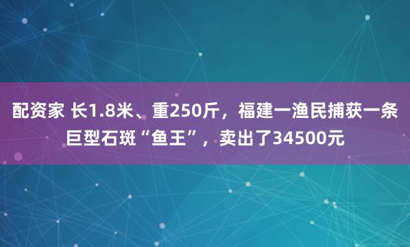 配资家 长1.8米、重250斤，福建一渔民捕获一条巨型石斑“鱼王”，卖出了34500元