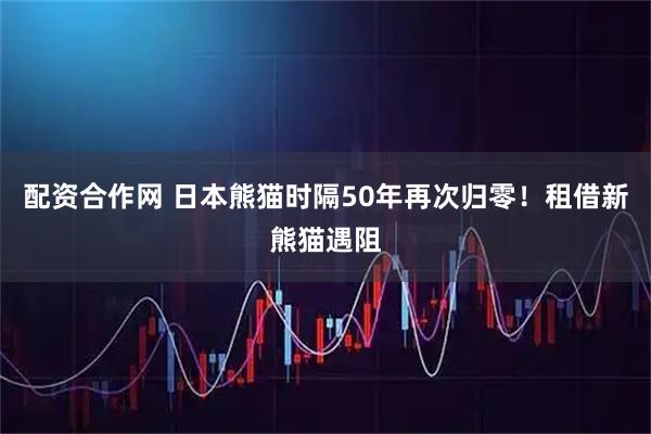 配资合作网 日本熊猫时隔50年再次归零！租借新熊猫遇阻